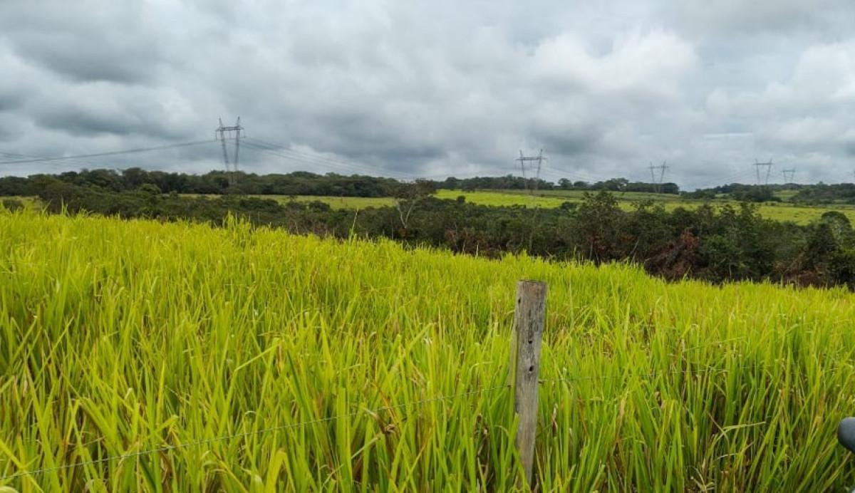 Fazenda, Zona Rural, 5 Quartos, 0 Vaga