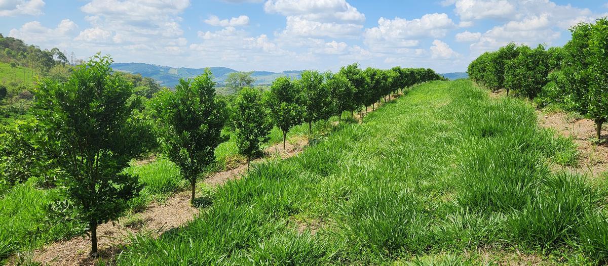 Fazenda, Zona Rural, 3 Quartos, 2 Vagas, 1 Suíte