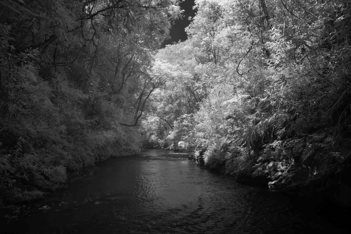 Lote, Village Sans Souci, 0 Quarto, 0 Vaga