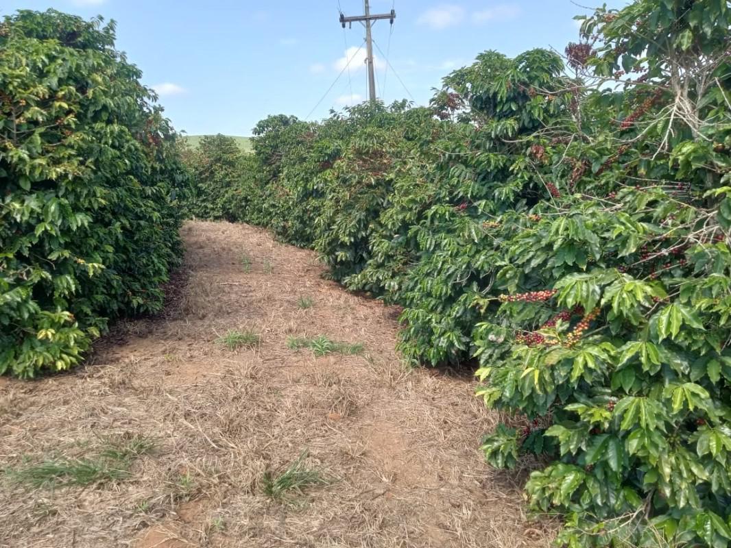 Fazenda, Zona Rural, 0 Quarto, 0 Vaga