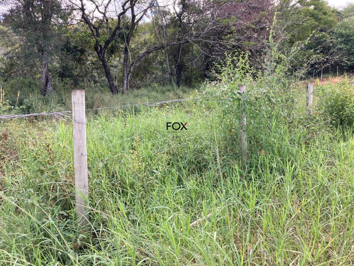 Lote, Inácia de Carvalho, 0 Quarto, 0 Vaga