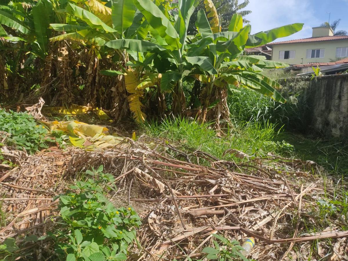 Lote, Palmares, 0 Quarto, 0 Vaga