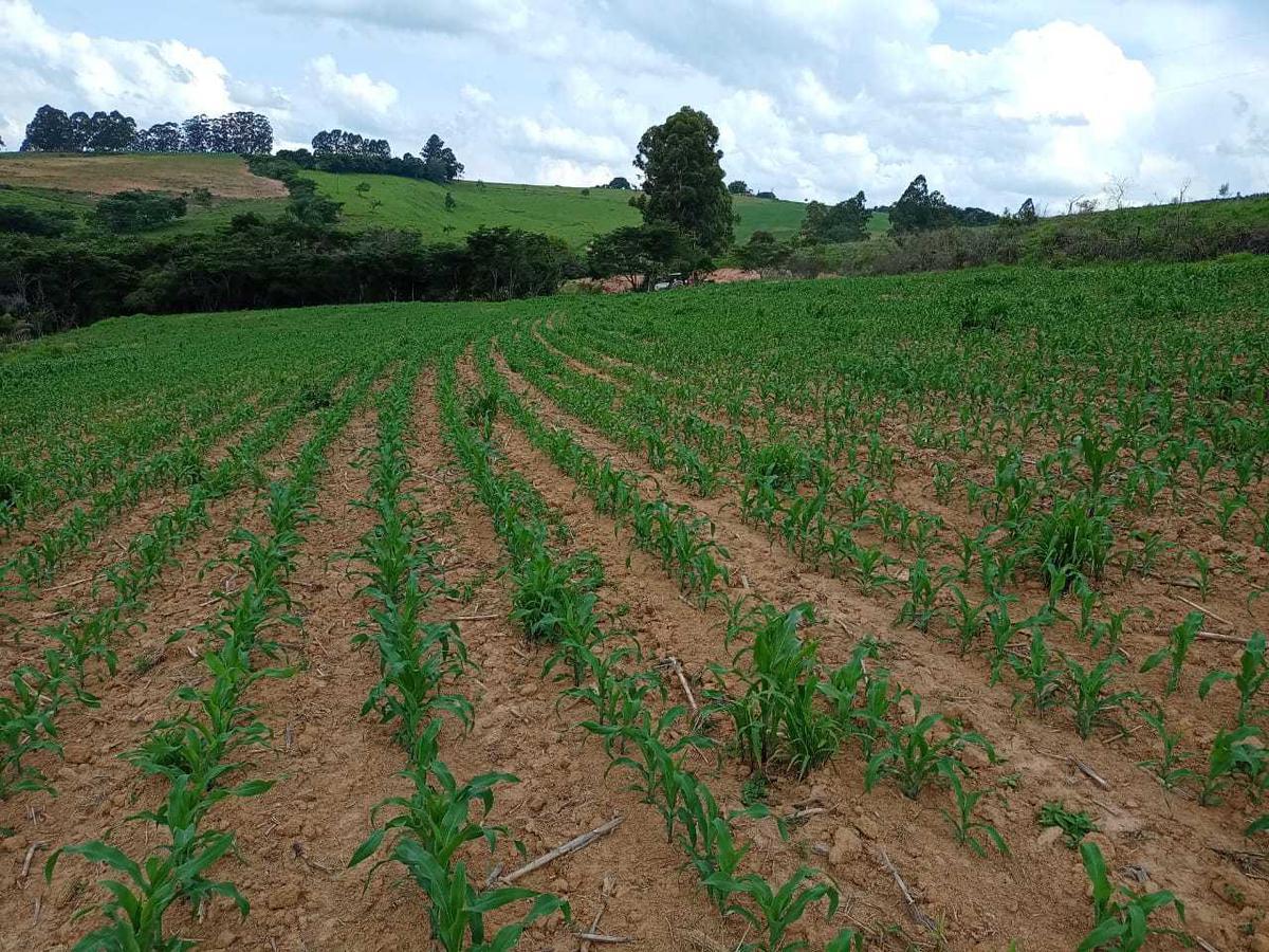 Fazenda, Zona Rural, 0 Quarto, 0 Vaga