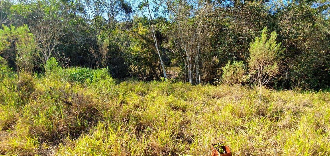 Lote, Zona Rural, 0 Quarto, 0 Vaga