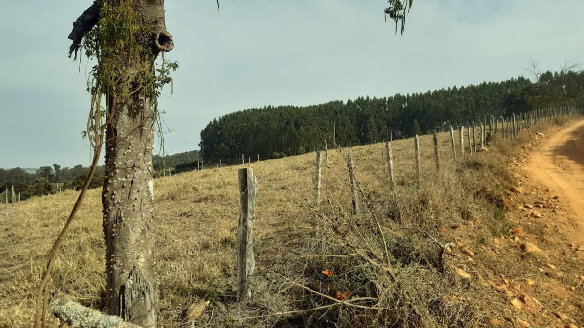 Fazenda, Centro, 1 Quarto, 1 Vaga, 1 Suíte