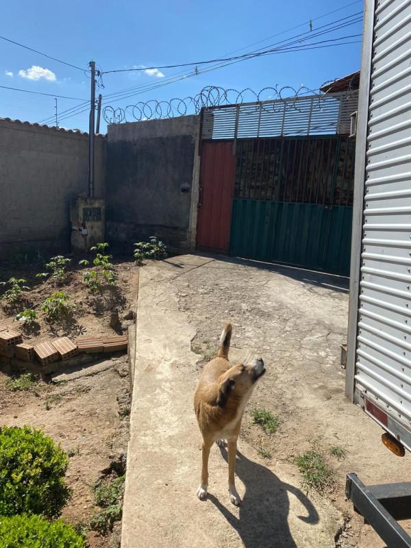 Casa, Goiânia, 2 Quartos, 2 Vagas