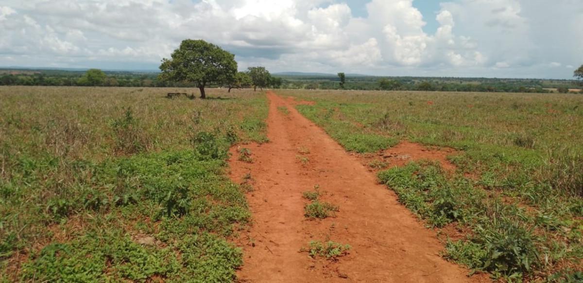Fazenda, Zona Rural, 0 Quarto, 0 Vaga