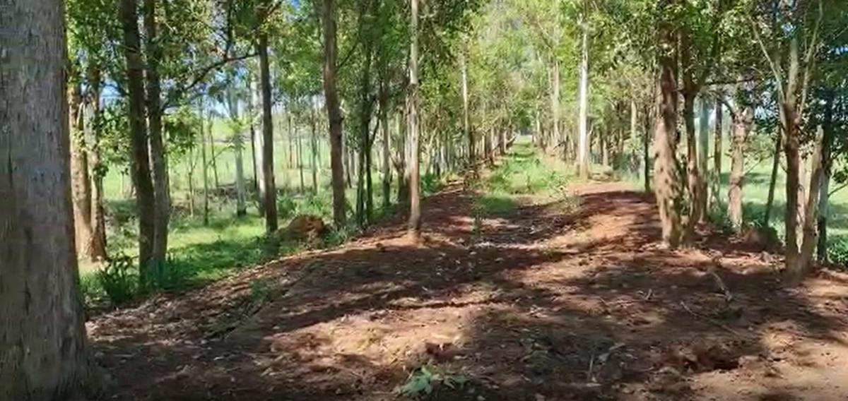 Fazenda, Centro, 0 Quarto, 0 Vaga