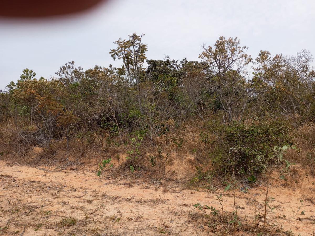 Lote, Zona Rural, 0 Quarto, 0 Vaga