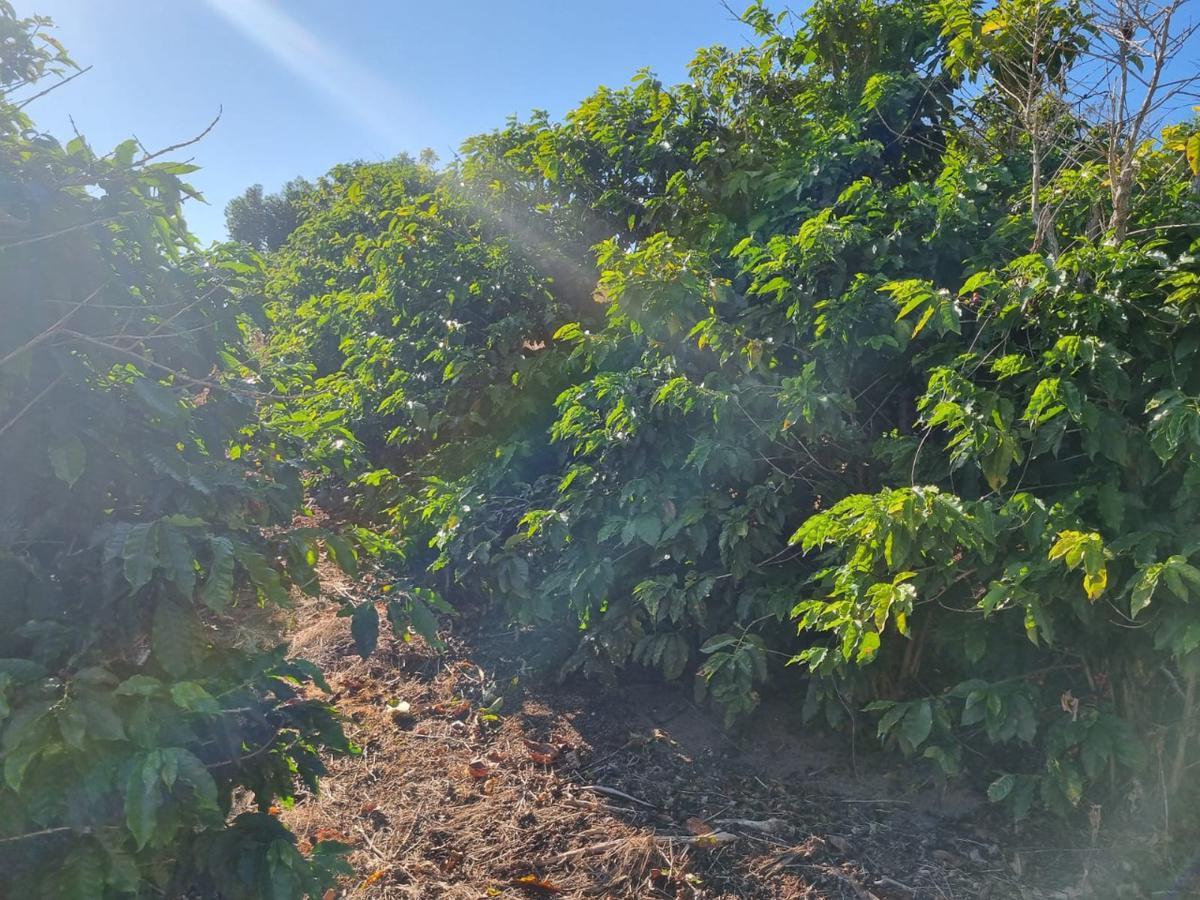 Fazenda, Zona Rural, 0 Quarto, 0 Vaga