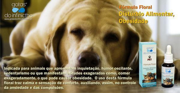 Florais No Tratamento de Animais