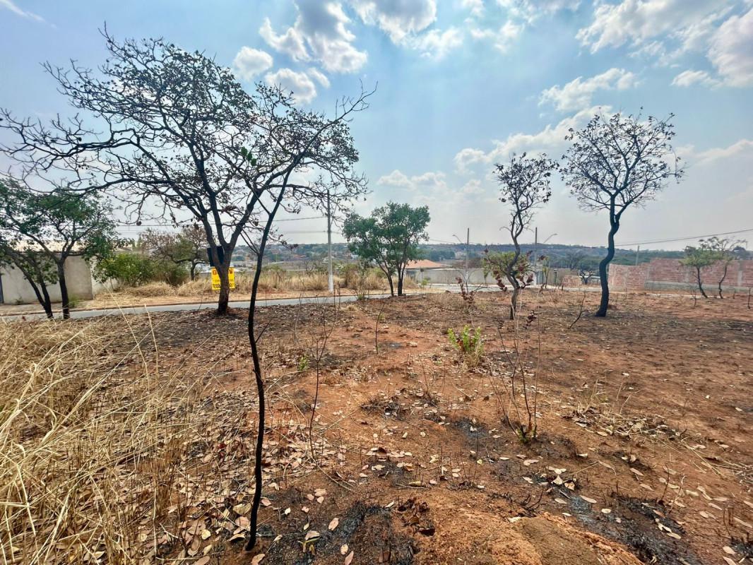 Lote, Vila dos Ipês, 0 Quarto, 0 Vaga