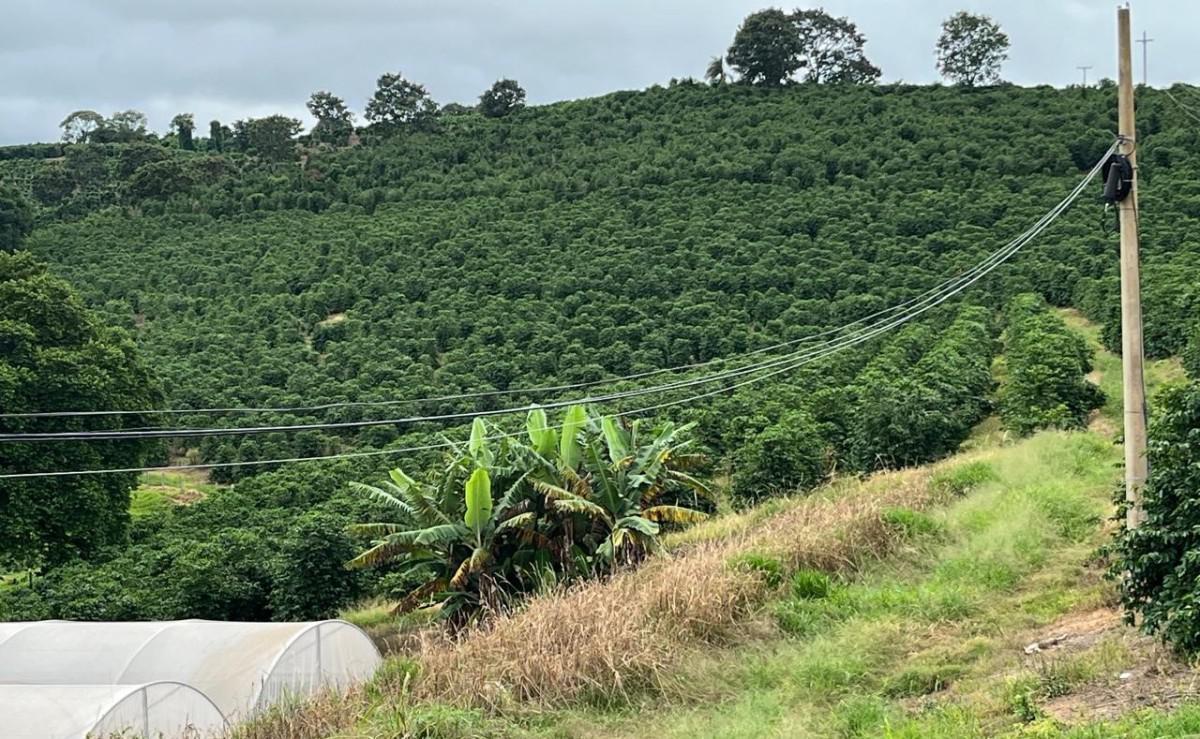 Fazenda, Zona Rural, 0 Quarto, 0 Vaga