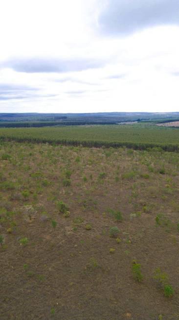 Fazenda, Centro, 0 Quarto, 0 Vaga