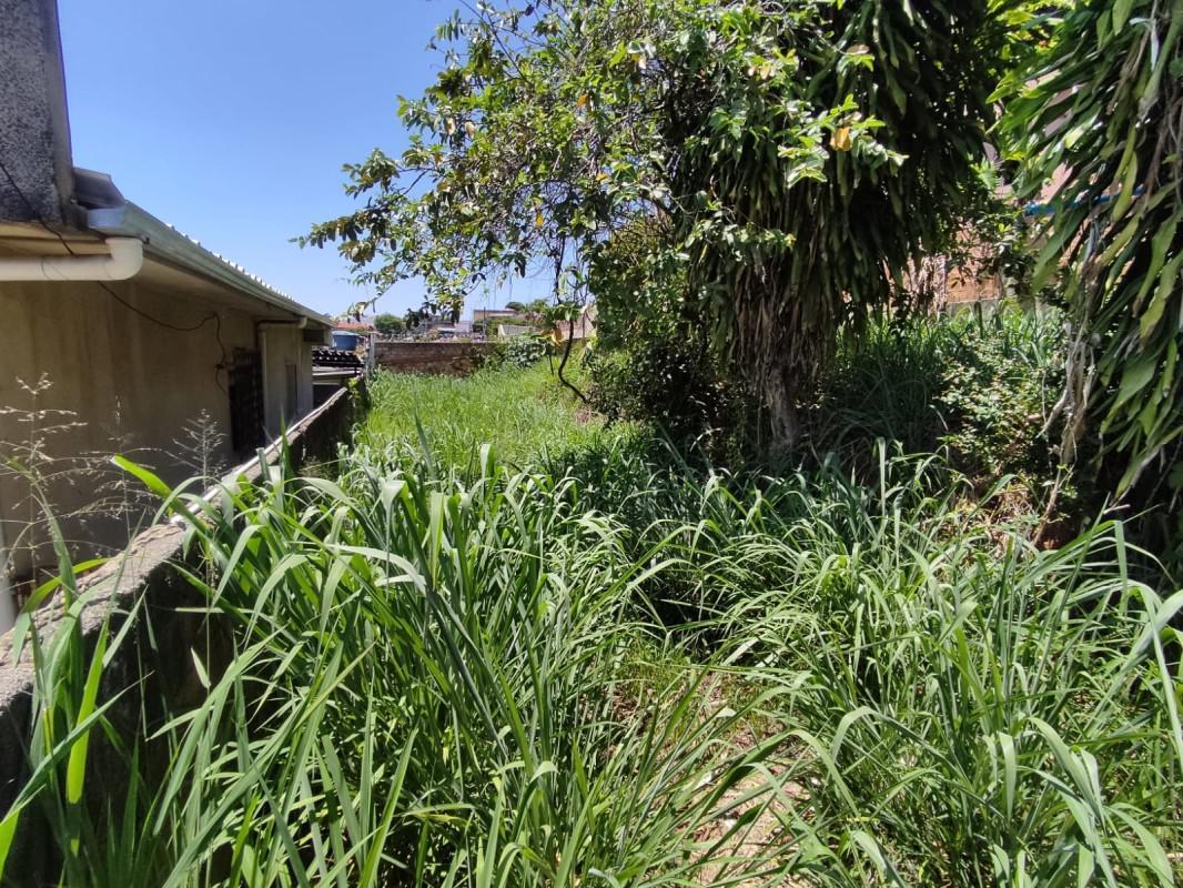 Lote, Santa Cruz, 0 Quarto, 0 Vaga