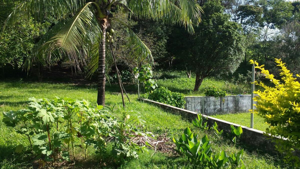 Lote, Bela Vista, 0 Quarto, 5 Vagas, 1 Suíte