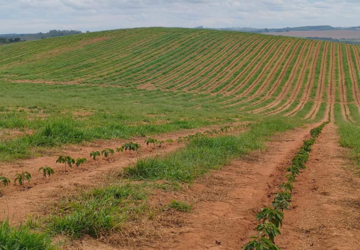 Fazenda, Zona Rural, 0 Quarto, 0 Vaga