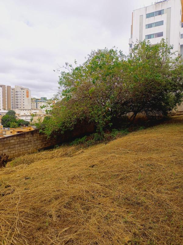 Lote, Coração Eucarístico, 0 Quarto, 0 Vaga