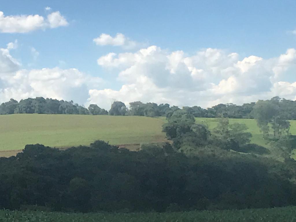 Fazenda, Zona Rural, 3 Quartos, 2 Vagas