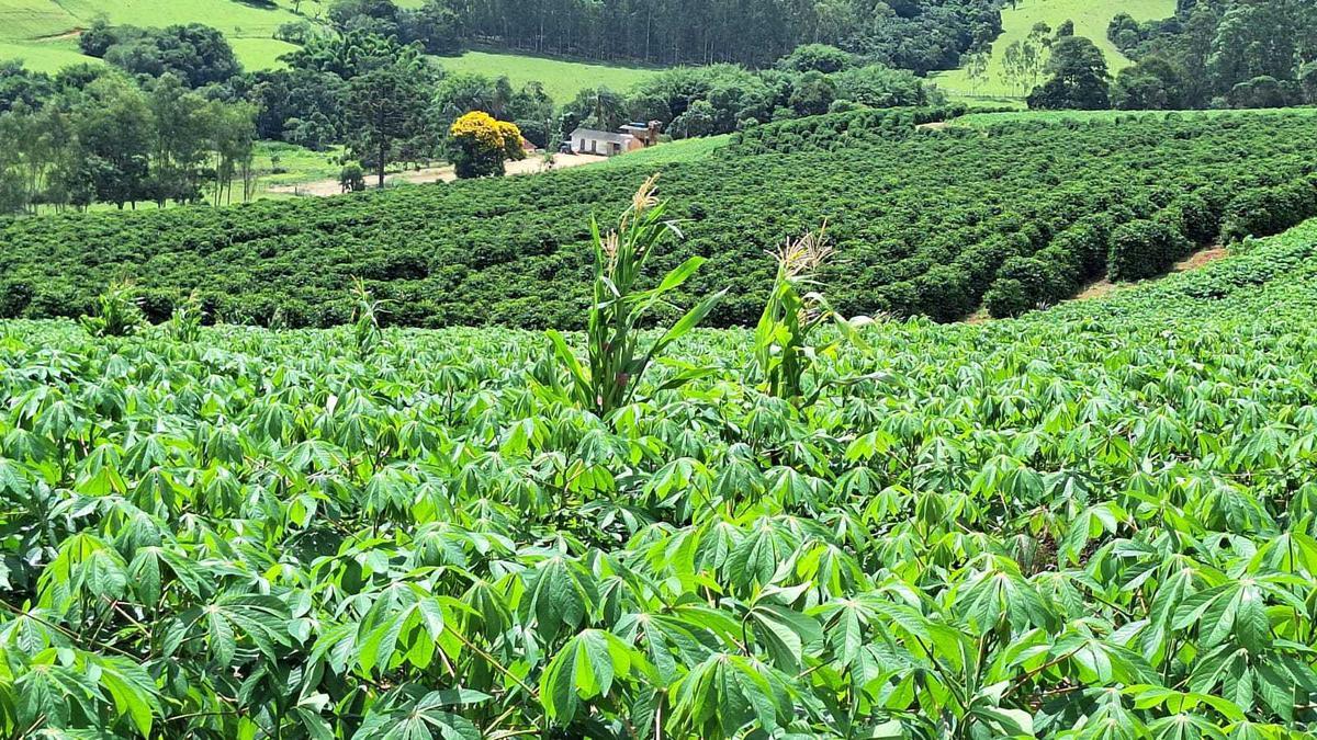 Fazenda, Zona Rural, 3 Quartos, 0 Vaga