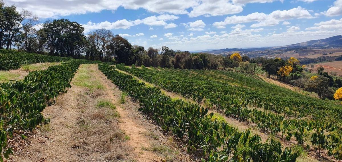 Fazenda, Centro, 2 Quartos, 1 Vaga, 1 Suíte