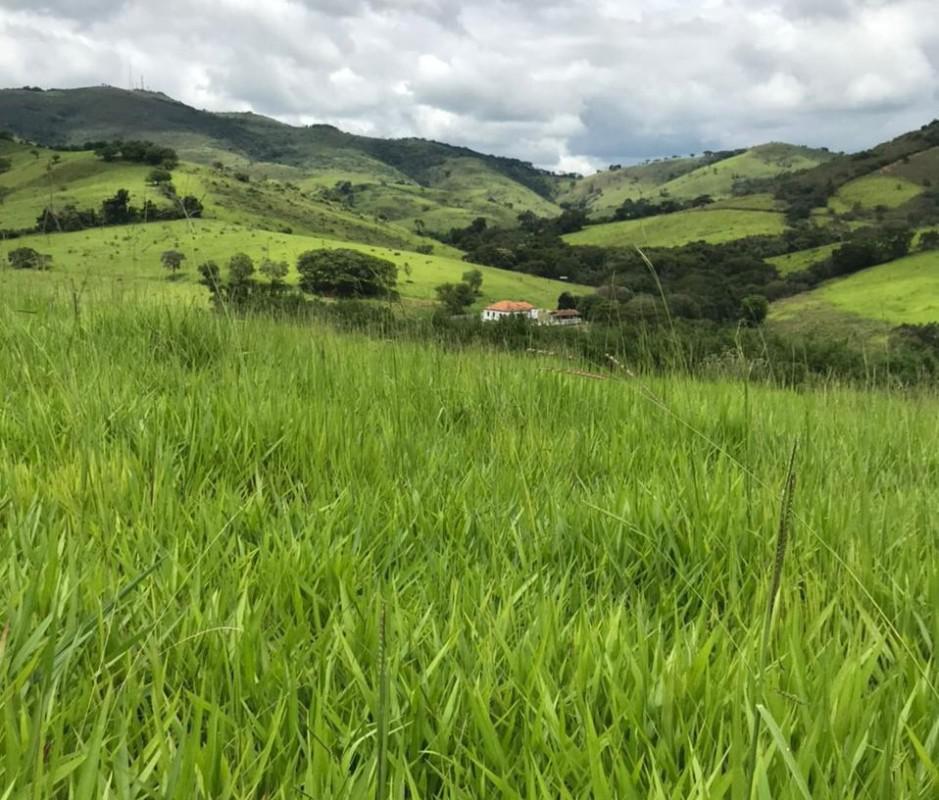 Fazenda, Zona Rural, 0 Quarto, 0 Vaga