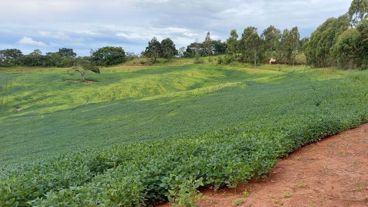 Fazenda, Zona Rural, 3 Quartos, 0 Vaga