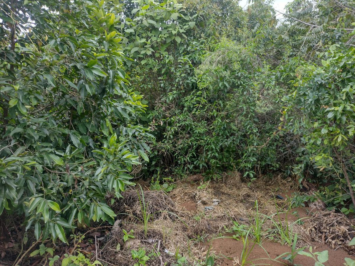 Lote, Tupã, 0 Quarto, 0 Vaga