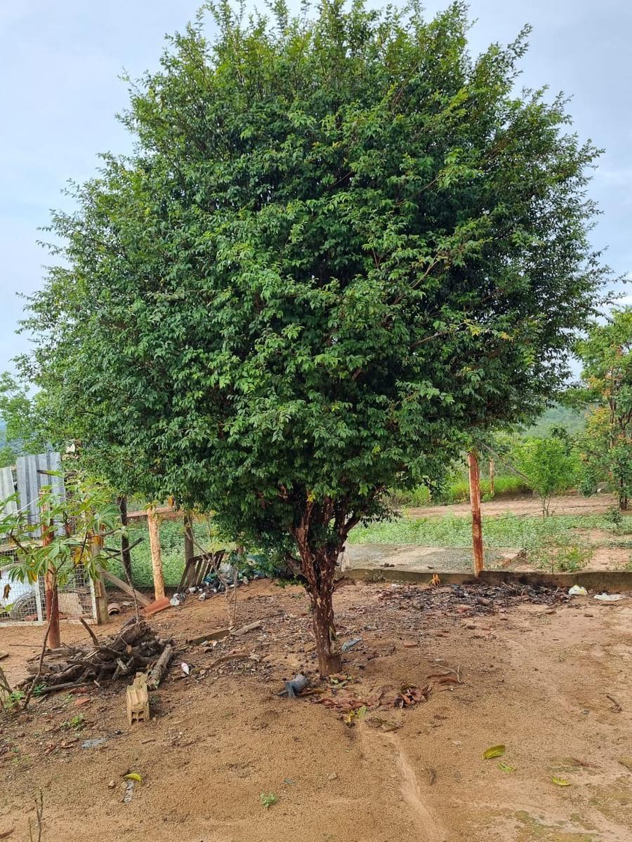 Fazenda, São José, 2 Quartos, 0 Vaga, 2 Suítes