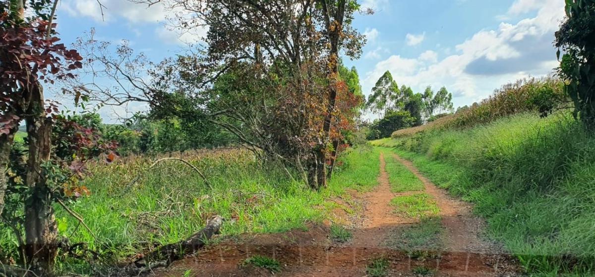 Lote, Centro, 4 Quartos, 2 Vagas