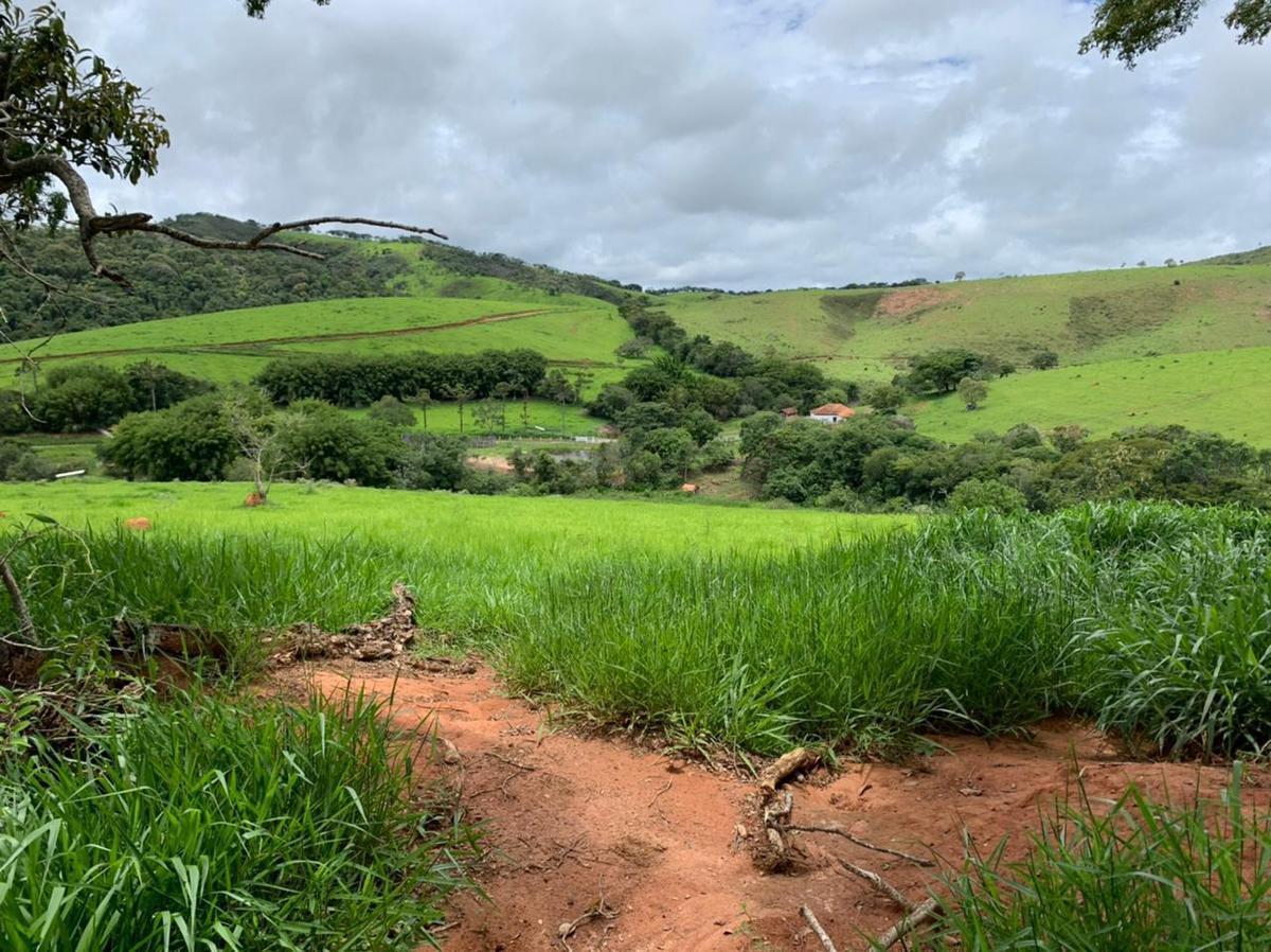 Fazenda, Zona Rural, 6 Quartos, 0 Vaga, 2 Suítes