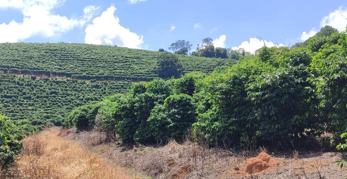 Fazenda, Zona Rural, 0 Quarto, 0 Vaga