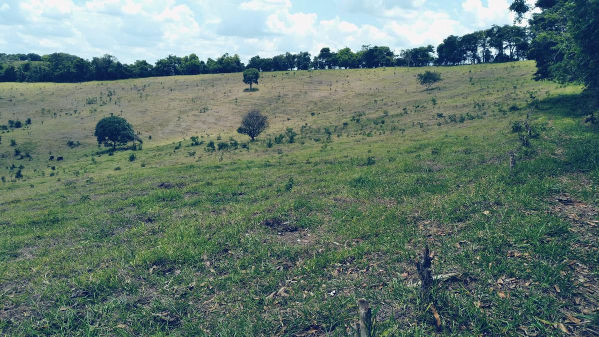 Fazenda, Zona Rural, 3 Quartos, 0 Vaga