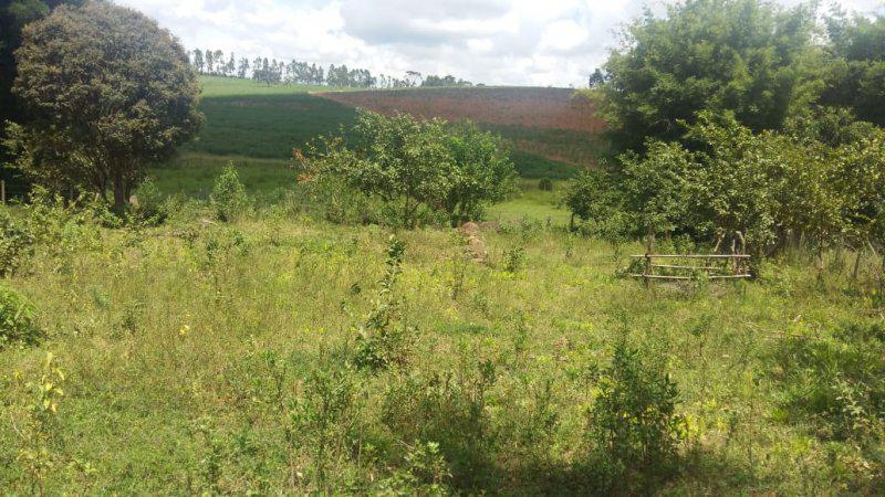 Fazenda, Guedes, 0 Quarto, 0 Vaga