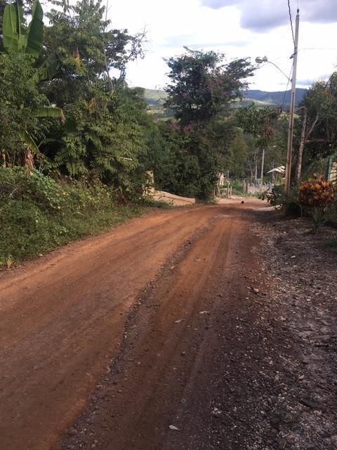 Lote, Zona Rural, 0 Quarto, 0 Vaga