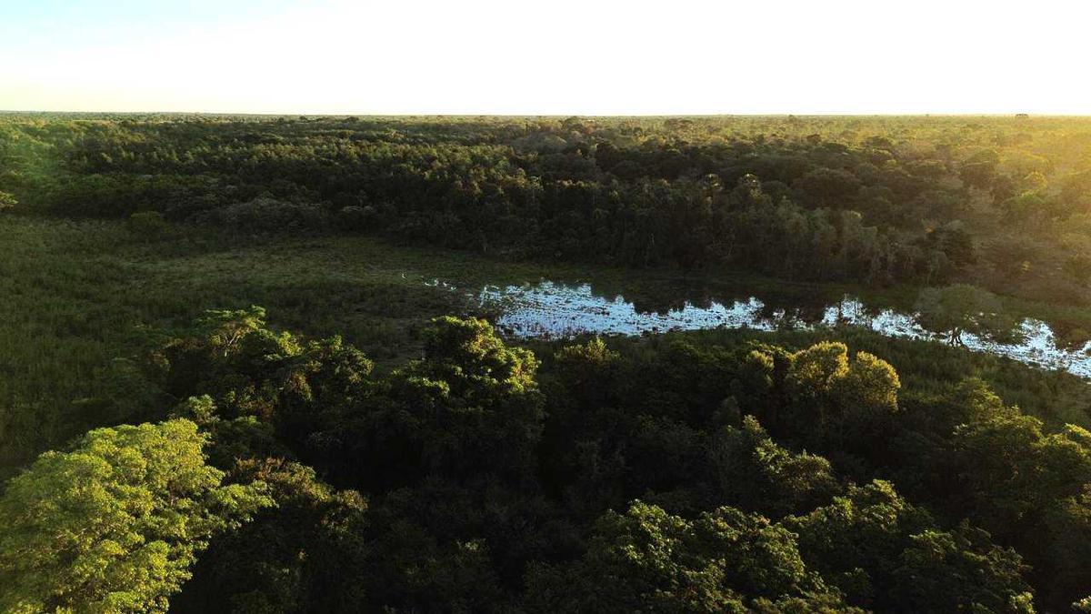 Fazenda, Zona Rural, 3 Quartos, 0 Vaga