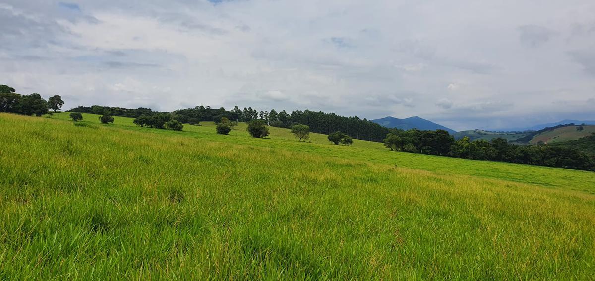 Fazenda, Centro, 4 Quartos, 2 Vagas, 1 Suíte