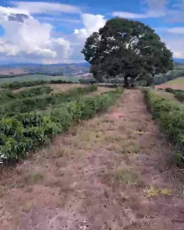 Fazenda, Zona Rural, 0 Quarto, 0 Vaga