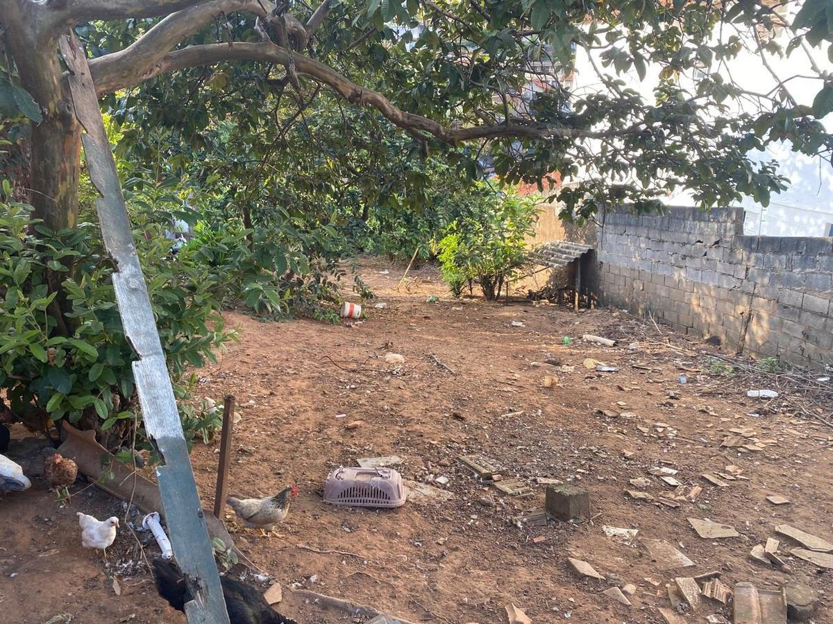 Lote, Três Bicas, 0 Quarto, 0 Vaga