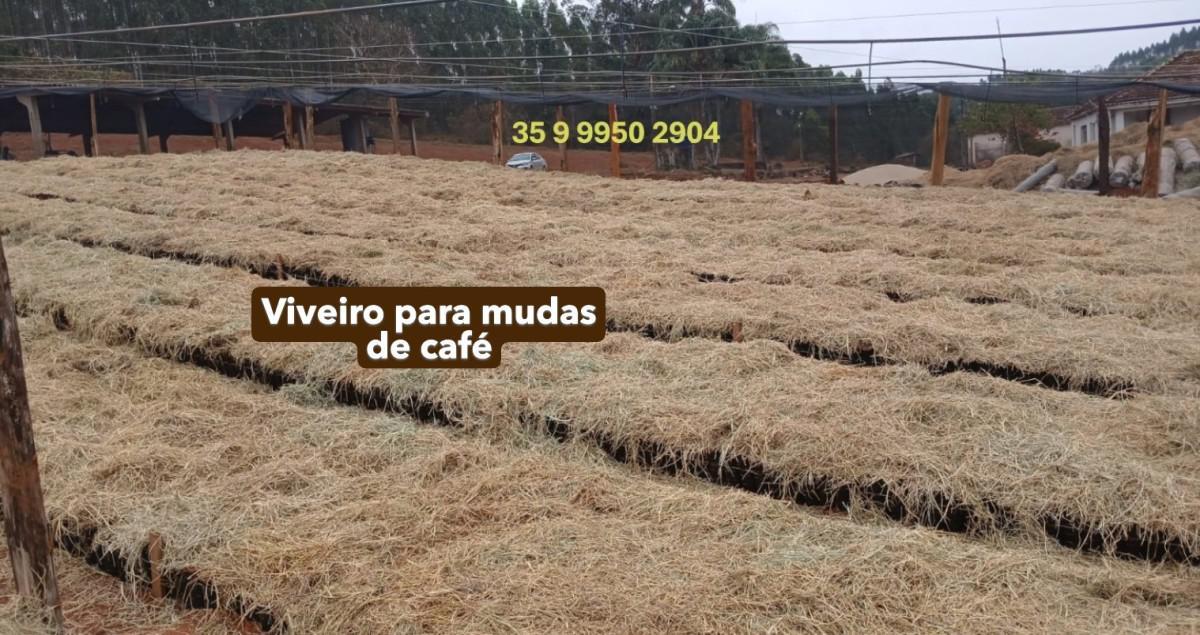 Fazenda, Zona Rural, 0 Quarto, 0 Vaga