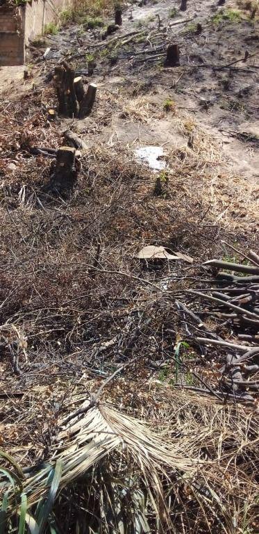 Lote, São José, 0 Quarto, 0 Vaga