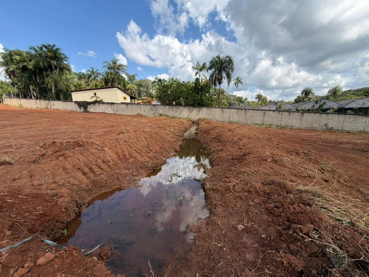 Lote, Planalto, 0 Quarto, 0 Vaga