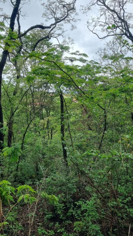 Fazenda, Centro, 0 Quarto, 0 Vaga