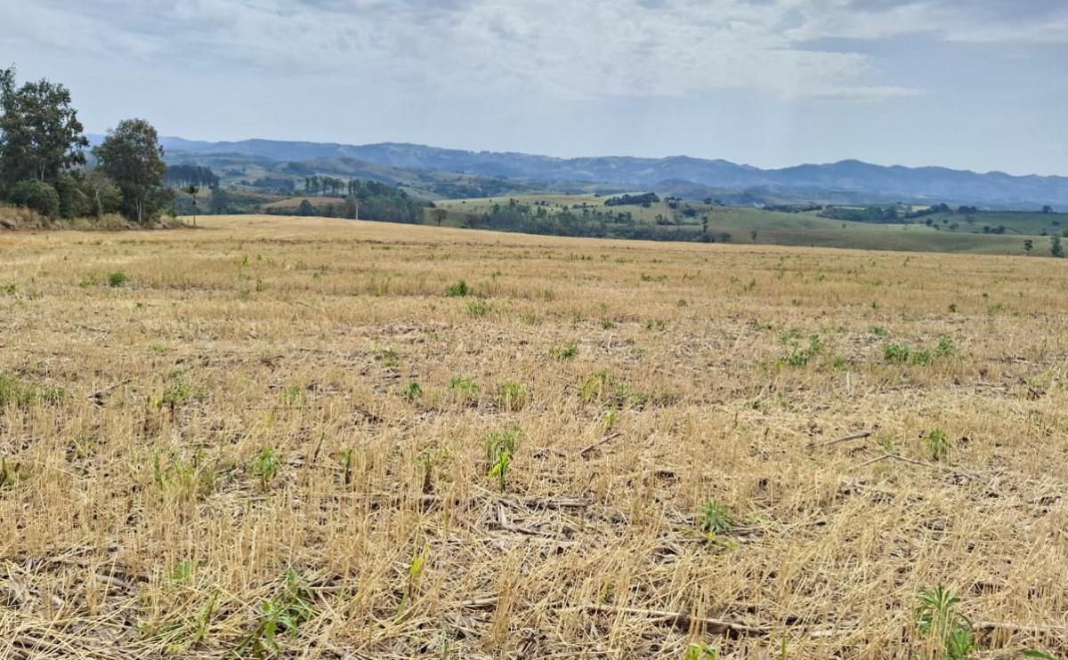 Fazenda, Zona Rural, 0 Quarto, 0 Vaga