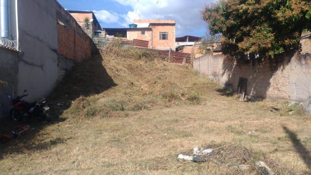 Lote, Cruzeiro do Sul, 0 Quarto, 0 Vaga