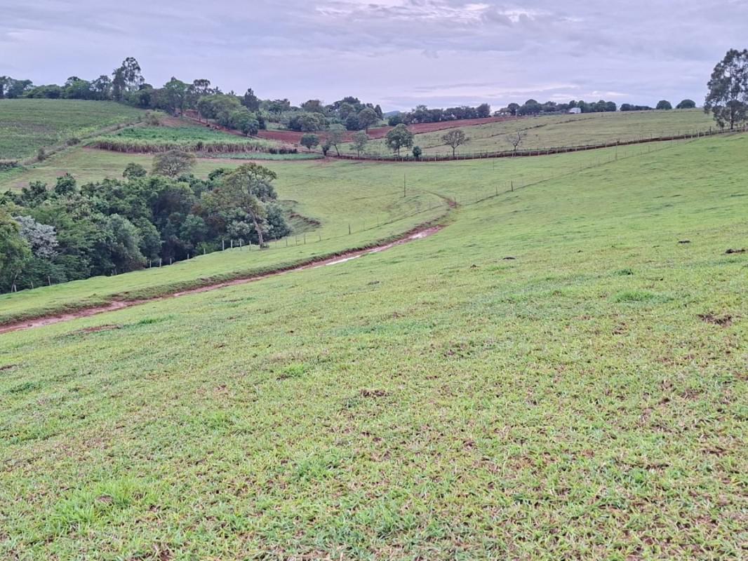 Fazenda, Zona Rural, 0 Quarto, 0 Vaga