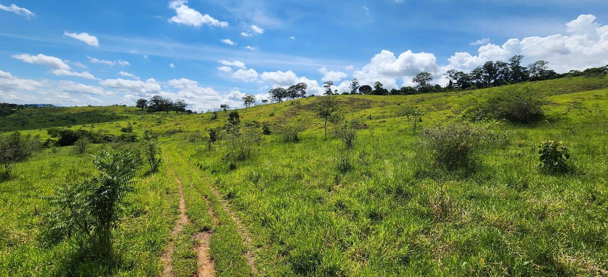 Fazenda, Zona Rural, 1 Quarto, 0 Vaga