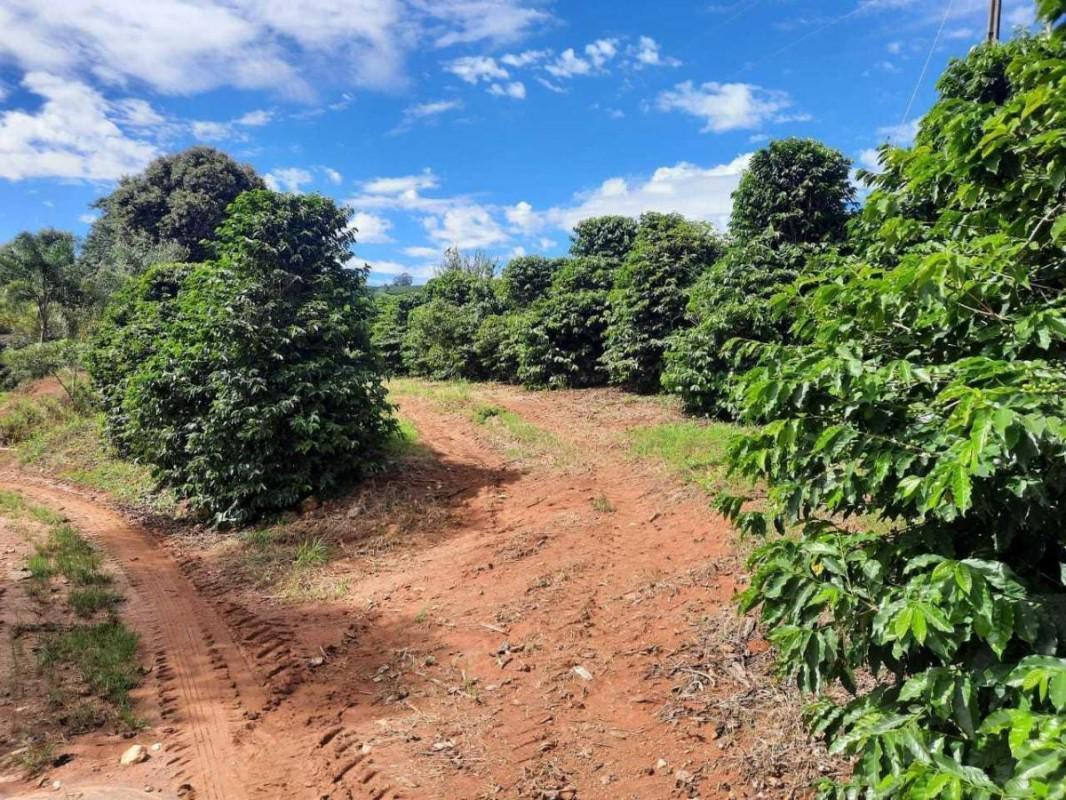 Fazenda, Zona Rural, 0 Quarto, 0 Vaga