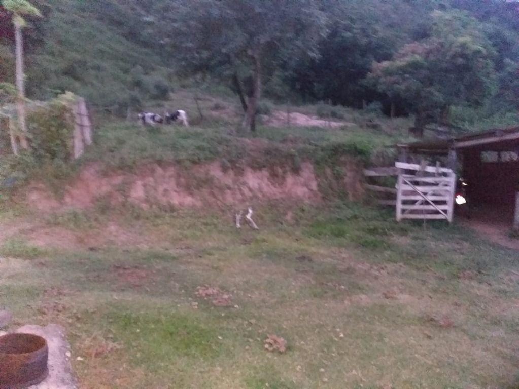 Fazenda, Centro, 0 Quarto, 0 Vaga