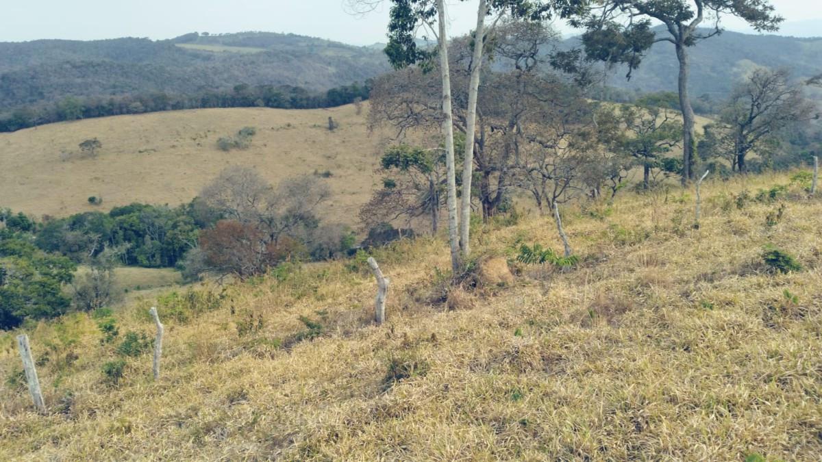 Fazenda, Zona Rural, 0 Quarto, 0 Vaga